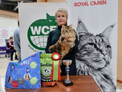 Международная выставка кошек в г. Москва 8-9 мая 2021 года