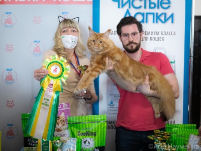 Международная выставка кошек в г. Москва 10 апреля 2021 года