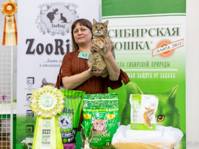 Выставка кошек в Екатеринбурге 12-13 июня