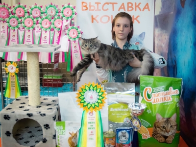 Международная выставка кошек памяти Эльвиры Диановой в г. Москва 20-21 марта 2021 года